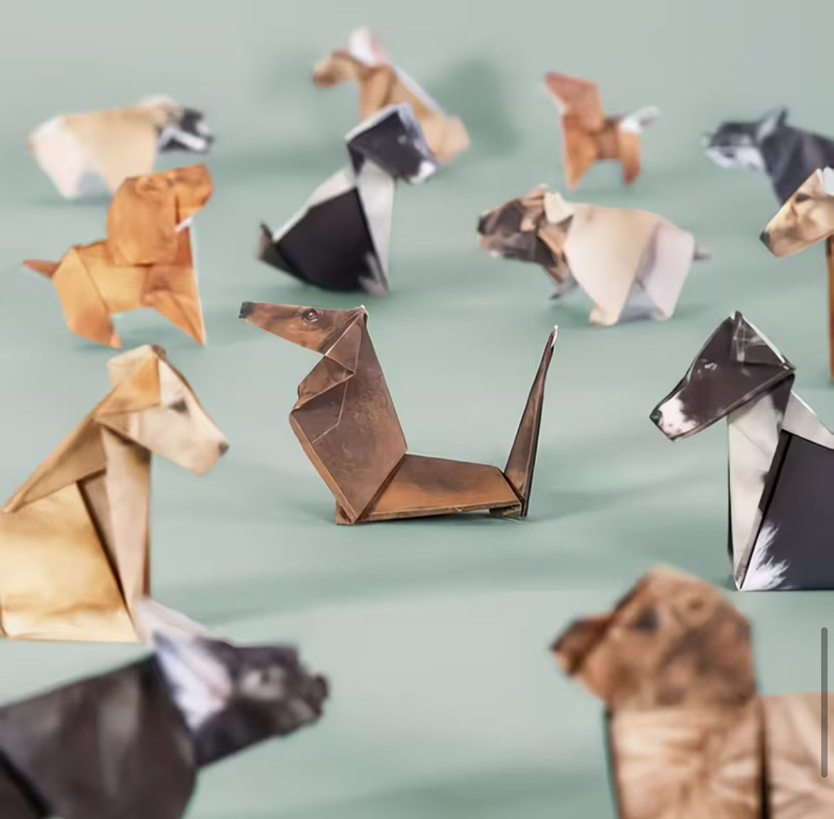 Paper Pets